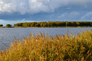Lichtstimmung am Abend bei Zarrenzin mit Blick zur Insel Bock im Nationalpark Vorpommersche Boddenlandschaft, Mecklenburg Vorpommern, Deutschland