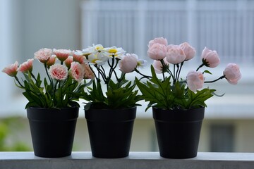 Close-up portrait of 3 imitation flowerpots as decoration 
