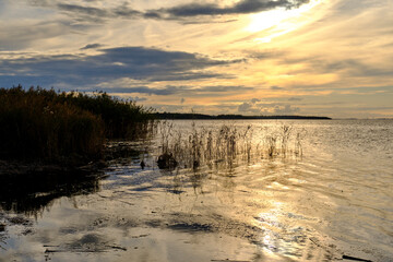 Lichtstimmung am Abend bei Zarrenzin mit Blick zur Insel Bock im Nationalpark Vorpommersche Boddenlandschaft, Mecklenburg Vorpommern, Deutschland