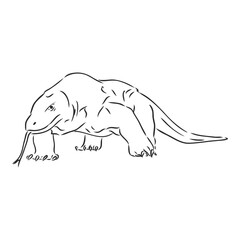 Fototapeta premium hand drawn, sketch illustration of Komodo dragon. varan vector sketch illustration