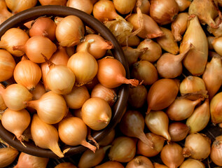 Onion sets. Small yellow bulbs for planting in a basket close-up. View from above. onion background