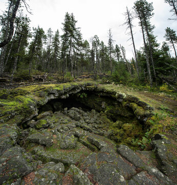 High angle view of Ole's Cave against trees in forest