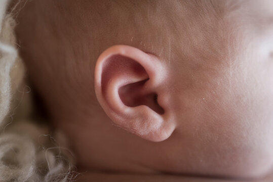 Close-up of baby boy's ear