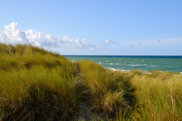 Lichtstimmung im Darßer Urwald und am Darßer Weststrand, Nationalpark Vorpommersche...