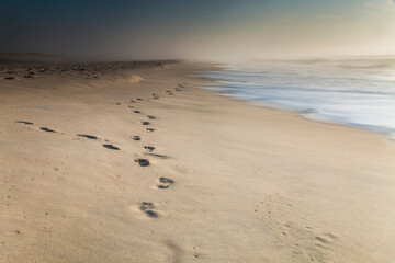 dramatic summer Assateague beach photo in Maryland