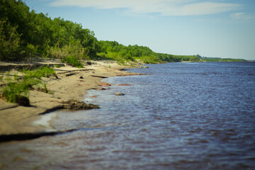 River bank, forest and sand, summer photo, sand dunes of the river, a place for fishing