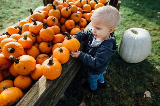 Side view of boy holding pumpkin while standing on field
