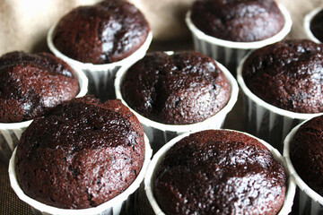 Chocolate muffins with nuts in white paper forms