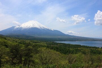 山中湖と富士山　　山中湖の東にある明神山からの眺望。　山中湖と草原、その先には雪を被った冨士山。