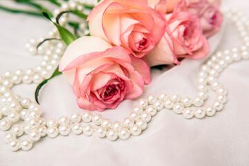 The branch of pink rose on white fabric background
