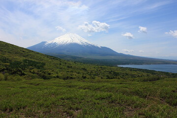 Fototapeta premium 山中湖と富士山 山中湖の東にある明神山からの眺望。 山中湖と草原、その先には雪を被った冨士山。