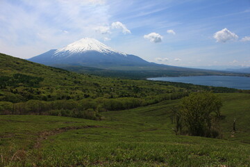 Fototapeta premium 山中湖と富士山 山中湖にある明神山から見た眺望、山中湖とその先に無得る冨士山