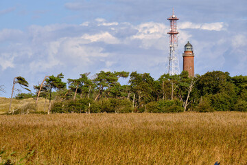Obraz premium Lichtstimmung im Darßer Urwald und am Darßer Weststrand, Nationalpark Vorpommersche Boddenlandschaft, Mecklenburg Vorpommern, Deutschland