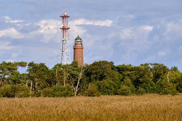 Obraz premium Lichtstimmung im Darßer Urwald und am Darßer Weststrand, Nationalpark Vorpommersche Boddenlandschaft, Mecklenburg Vorpommern, Deutschland