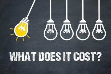 Fototapeta premium What does it cost?