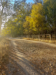 road or path through the countryside