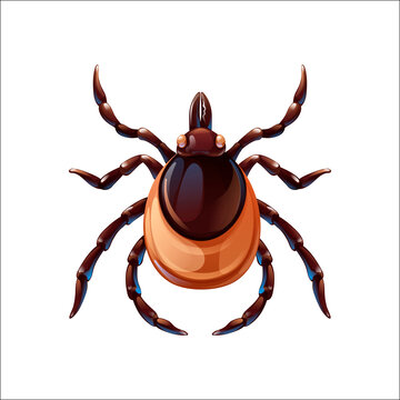 Mite bug art, insect control. Vector illustration
