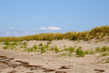 Landschaft mit D&uuml;nen und Strandseen am Dar&szlig;er Ort, Nationalpark Vorpommersche Boddenlandschaft, Mecklenburg Vorpommern, Deutschland