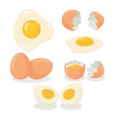 Illustration of raw egg, broken, boiled and fried egg 