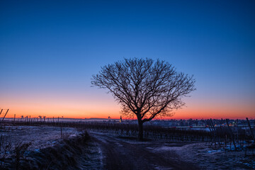 Fototapeta na wymiar sunrise in the winter