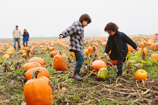 Brothers playing with pumpkin while parents walking at farm during winter