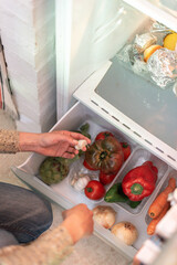 Fresh food in the fridge