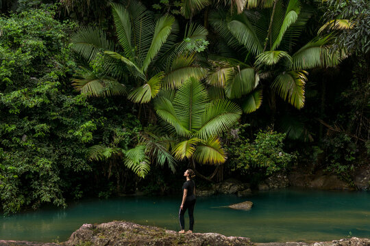 Full length of woman standing on rocks at lakeshore against tree in El Yunque National Forest