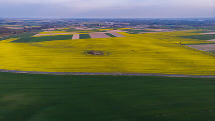 Obraz premium Aerial drone look to green and yellow fields at sunset