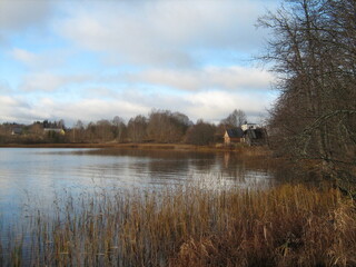 transparent lake with reflection of forest in summer water