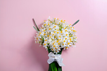 Lush bouquet of white-yellow daffodils isolated on pink background. Tender minimalistic spring flowers composition. Top view, copy space for text, flat lay, close up.