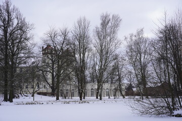 Fototapeta na wymiar Schlosspark Lübbenau im Winter mit Schnee und Schloss hinter Bäumen