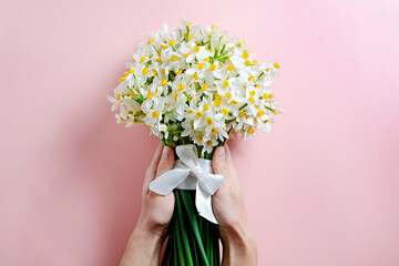 Cropped shot of female hand holding a bright bouquet of yellow daffodils with lush buds tied with silk ribbon. Woman with spring flowers. Pale pink textured background, copy space for text. Top view.
