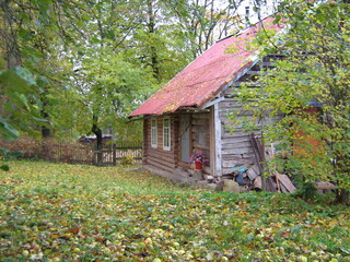 autumn garden trees and bushes with yellow and red leaves