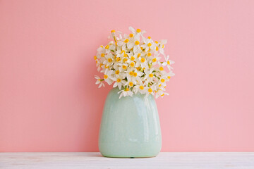 Lush bouquet of white-yellow daffodils in vintage turquoise vase isolated on pink background. Tender minimalistic spring flowers composition. Top view, copy space for text, flat lay, close up.