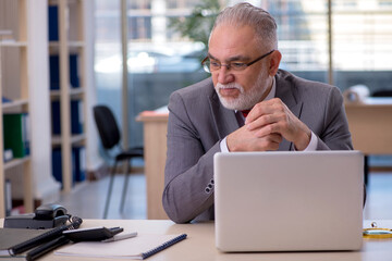 Aged businessman employee working in the office