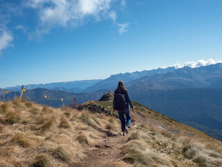Fototapeta premium young female tourist with a backpack is walking in the mountains, traveling in national parks.