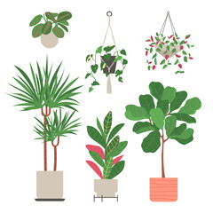 Set of home plants isolated on a white background. Collection of indoor plants in pots. Home decor. Vector illustration in flat style. © Ирина Пятаева