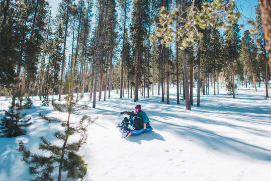 Mother and son sliding on snow covered field against trees