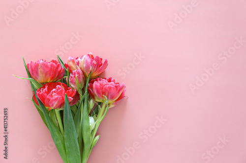 Fresh flower composition, bouquet of pink peony tulips, isolated on paper textured background. International Women's day, mother's day greeting concept. Copy space, close up, top view, flat lay.