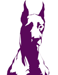 doberman purple portrait at white background with similars vector lineart style