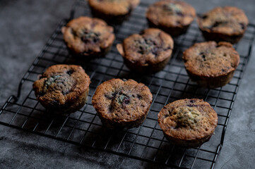 Blaubeer-Muffins auf einem Rost vor Beton Optik Untergrund Detailansicht