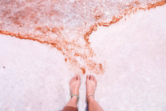 Low section of woman standing on shore by pink salt lake at Coorong National Park