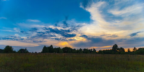 Sunset over the field and forest in summer