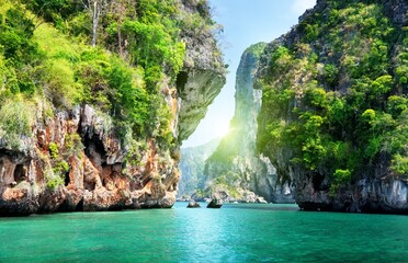 Beautiful nature
