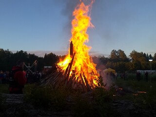 fire in the woods