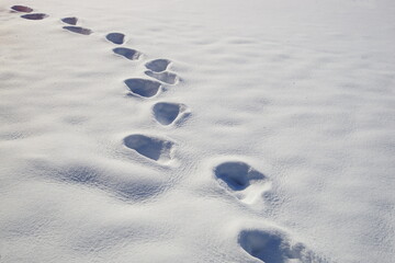 Footprints in snow