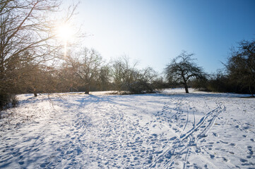 landscape with trails and snow on a sunny winter day