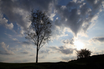 Fototapeta premium Silhouette of a tree with dramatic sky in the background. Amazing, heavenly light of the sun is bright and there is plenty of clouds. Religious type of landscape photographed in Helsinki, Finland.