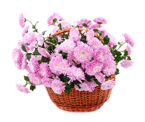 Bouquet of beautiful chrysanthemums in a basket.