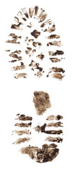 Dirty footprint from shoes.